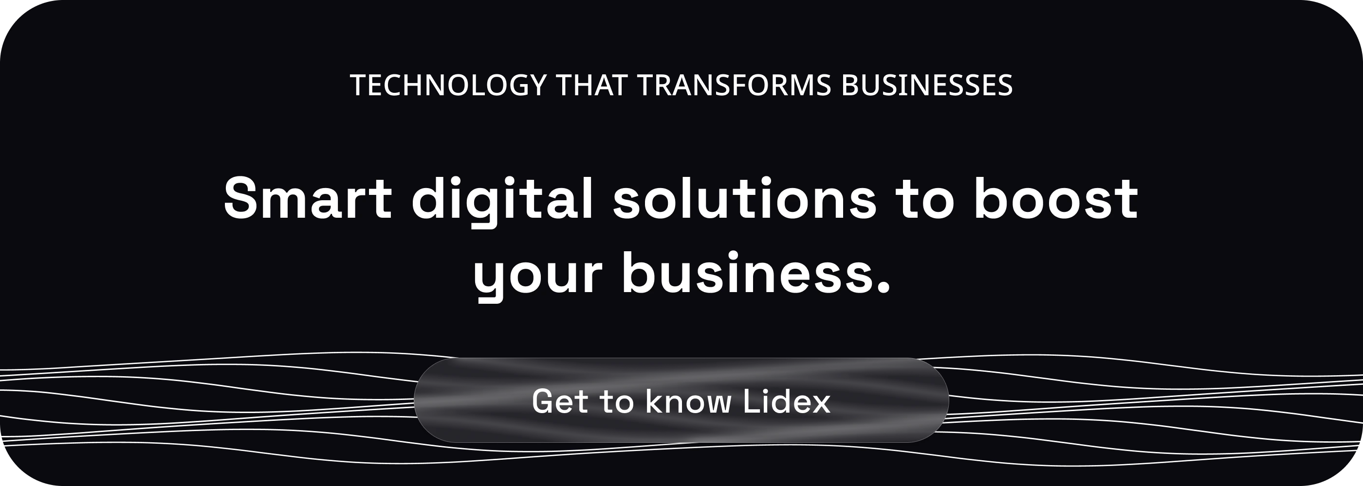 Lidex Soluções Digitais — technology that transforms businesses